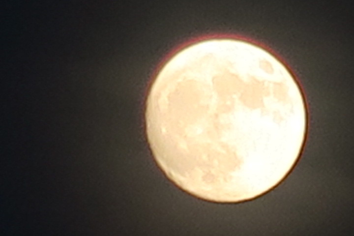 e0292172_12411626.jpg