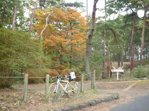 紅葉を見にダムや公園を自転車で巡ってみました。_e0268680_18275260.jpg