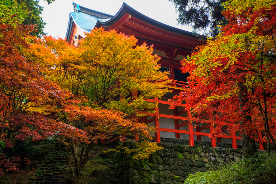 紅葉2016！　～比叡山延暦寺　横川中堂～_b0128581_22255199.jpg