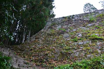 c0229483_1256782.jpg