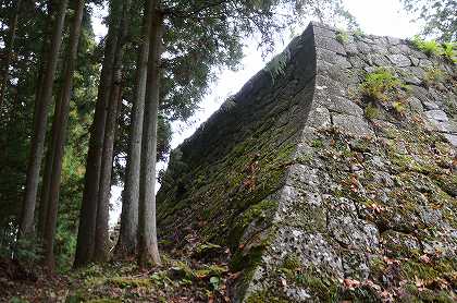 c0229483_1304856.jpg