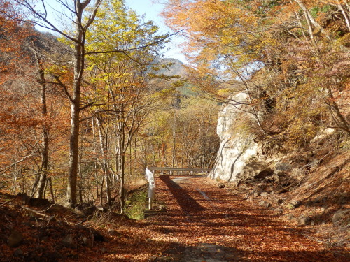 b0334084_21172281.jpg