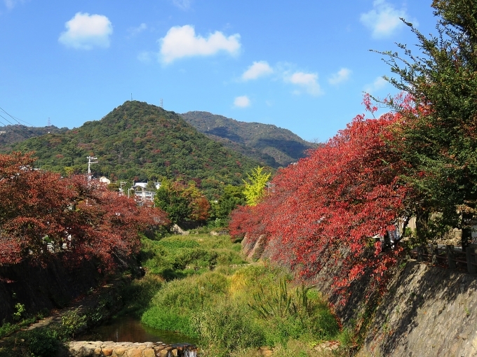 ♪歌いましょう　　＊＊芦屋市のご紹介です＊＊＊_e0340485_09421276.jpg