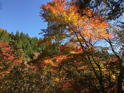 f0202990_1657568.jpg