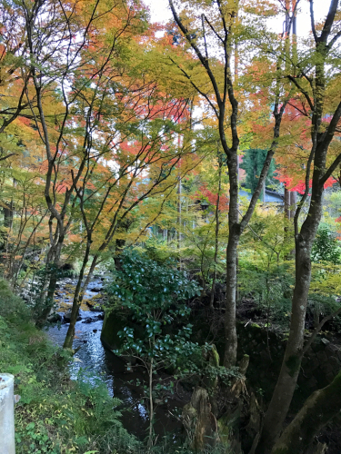 e0111793_02110138.jpg