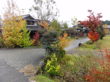 f0209394_15032678.jpg