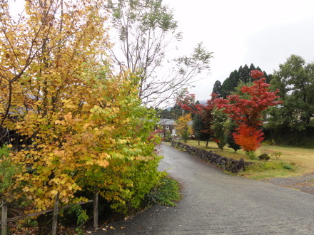f0209394_15040998.jpg