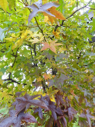 f0209394_15042429.jpg