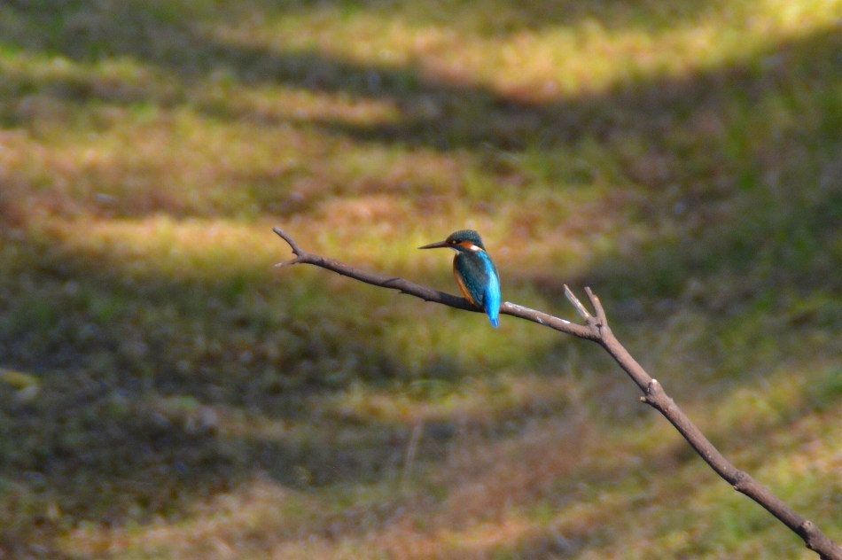 c0265095_22234772.jpg
