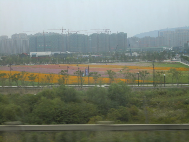 b0044296_01041570.jpg