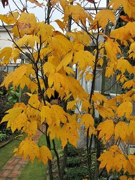c0117898_21161317.jpg
