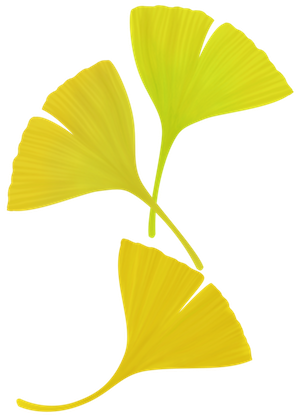 e0013399_16415239.png
