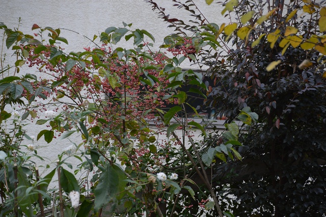 c0124100_20584468.jpg