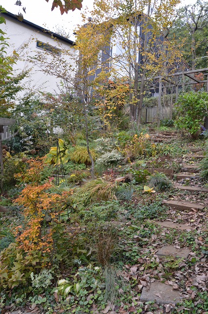 c0124100_20595037.jpg