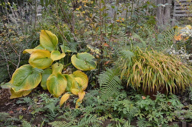 c0124100_2355326.jpg