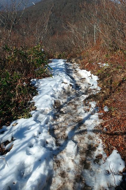e0137200_22105676.jpg