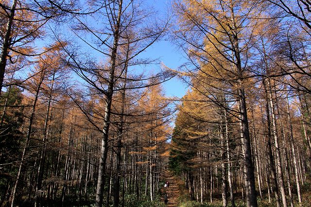 e0137200_22145899.jpg