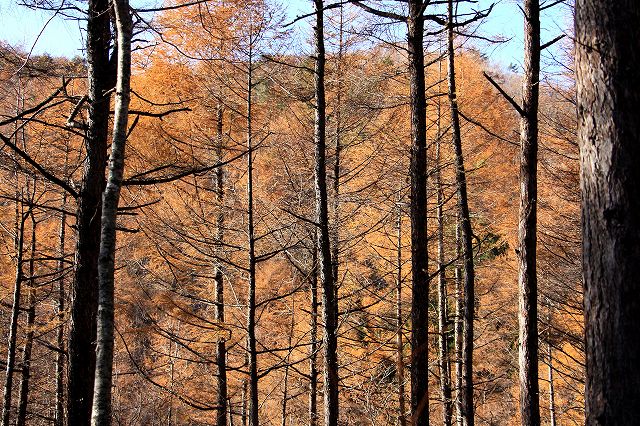e0137200_22162660.jpg