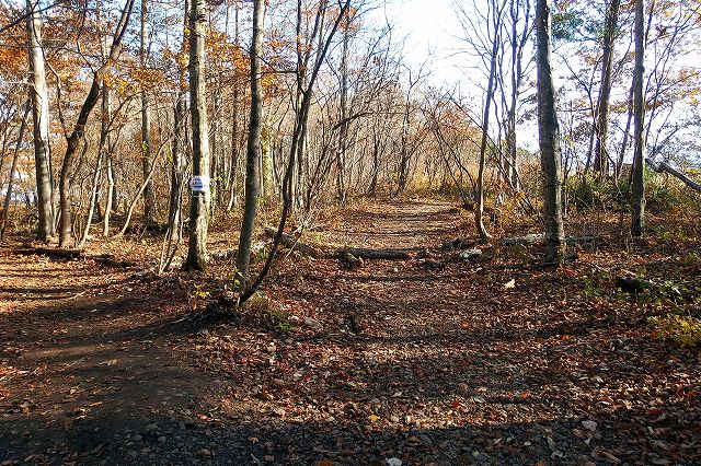 e0137200_2217341.jpg
