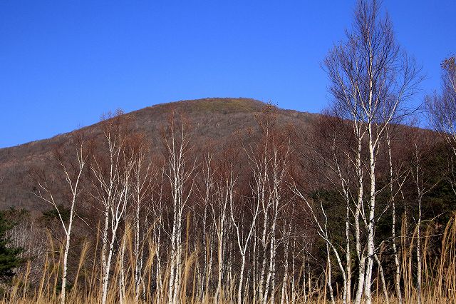 e0137200_2263513.jpg