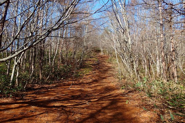 e0137200_226494.jpg