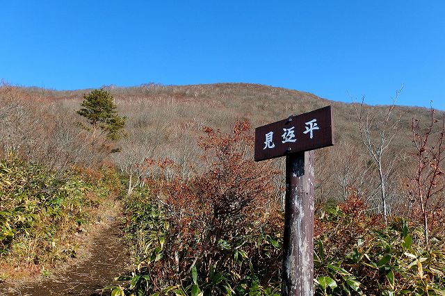 e0137200_2272830.jpg