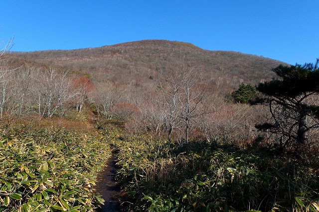 e0137200_227438.jpg