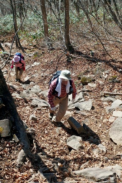 e0137200_228511.jpg