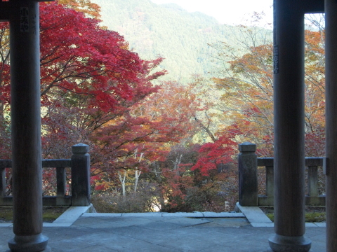 秋のお出かけ･･････埼玉_b0331802_20385345.jpg
