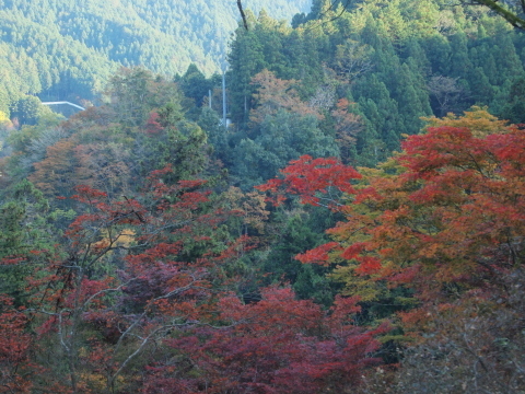 秋のお出かけ･･････埼玉_b0331802_20393936.jpg