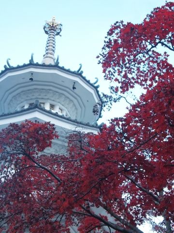 秋のお出かけ･･････埼玉_b0331802_20421847.jpg