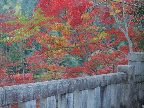 秋のお出かけ･･････埼玉_b0331802_20422359.jpg