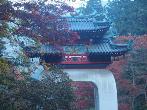 秋のお出かけ･･････埼玉_b0331802_20423520.jpg
