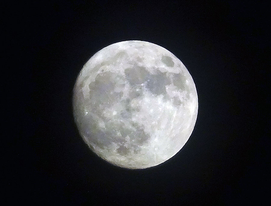 b0172203_1664512.jpg