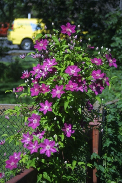 c0062603_13282450.jpg