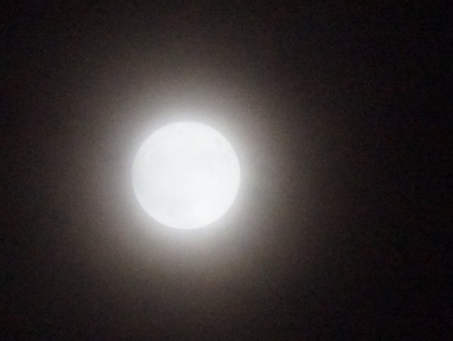 a0345007_11185667.jpg