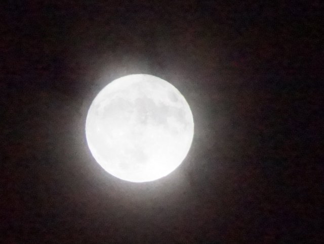 a0345007_11191575.jpg