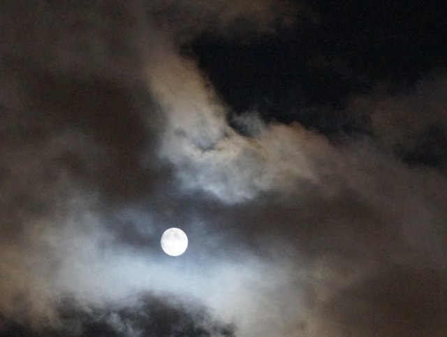 a0345007_11195386.jpg