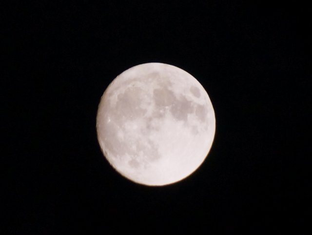 a0345007_11203170.jpg