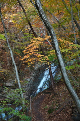 a0263109_10553787.jpg