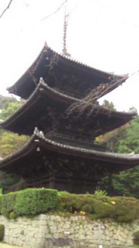 e0336009_23074882.jpg