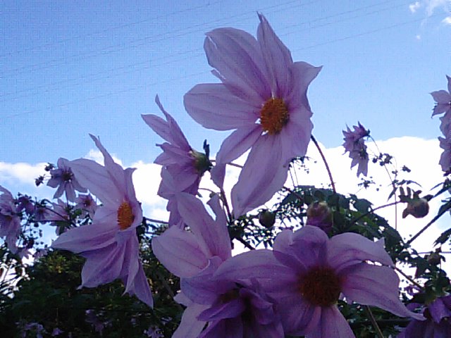 f0231709_232541.jpg