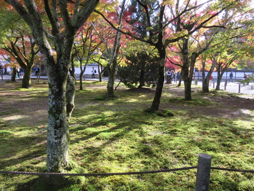 a0164011_174606.jpg