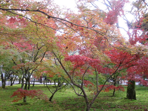 a0164011_17464100.jpg