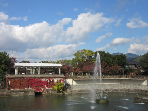 a0164011_17492926.jpg