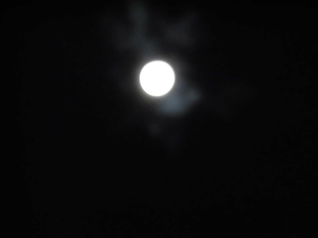 b0035611_22450648.jpg