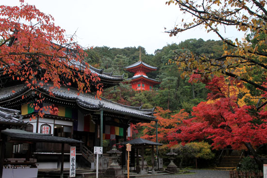 紅葉探訪7 東福寺と今熊野観音寺_e0048413_21423991.jpg