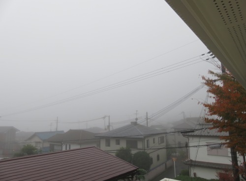 わぁ、霧！_b0344816_19581296.jpeg