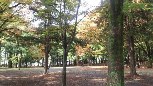 c0317717_23252889.jpg