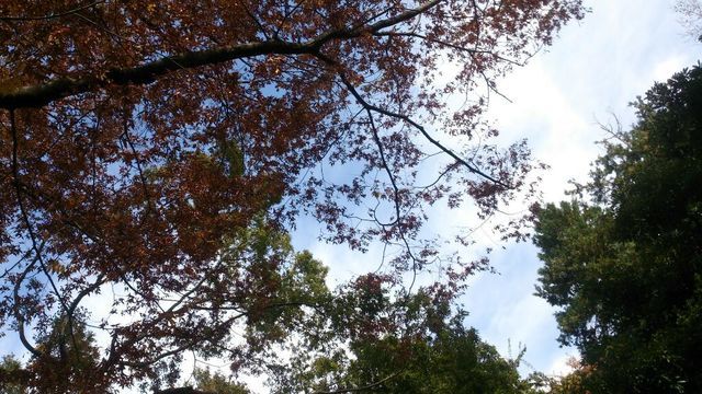 c0317717_23254200.jpg